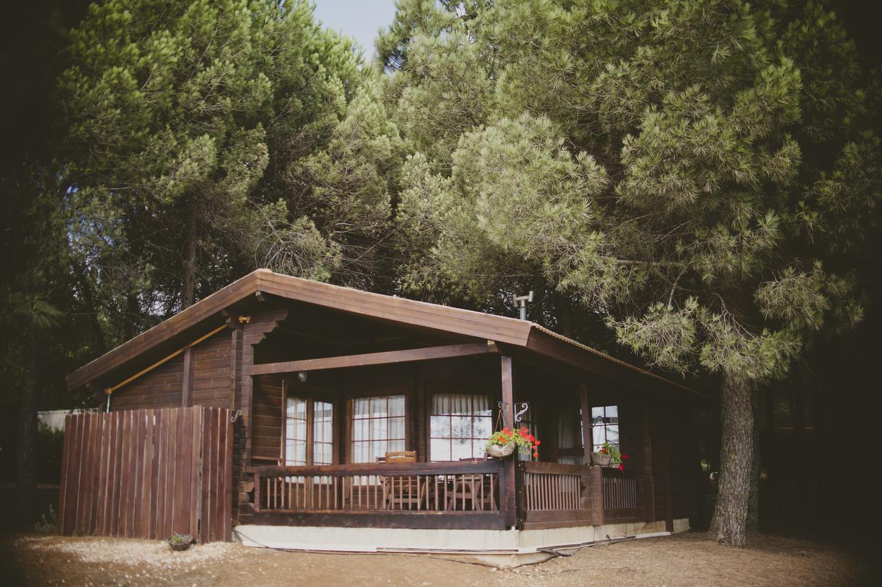 Hotel Ortal Exterior foto